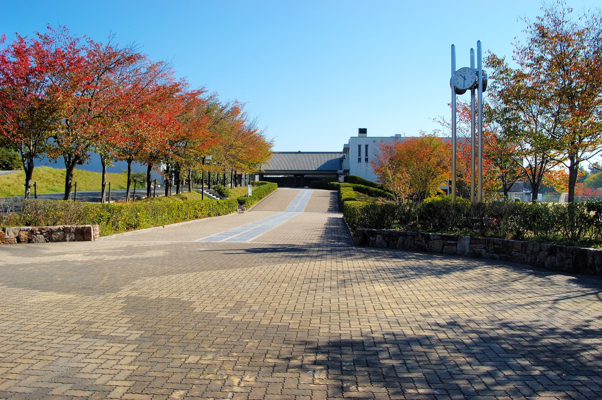 dsc_0018.jpg